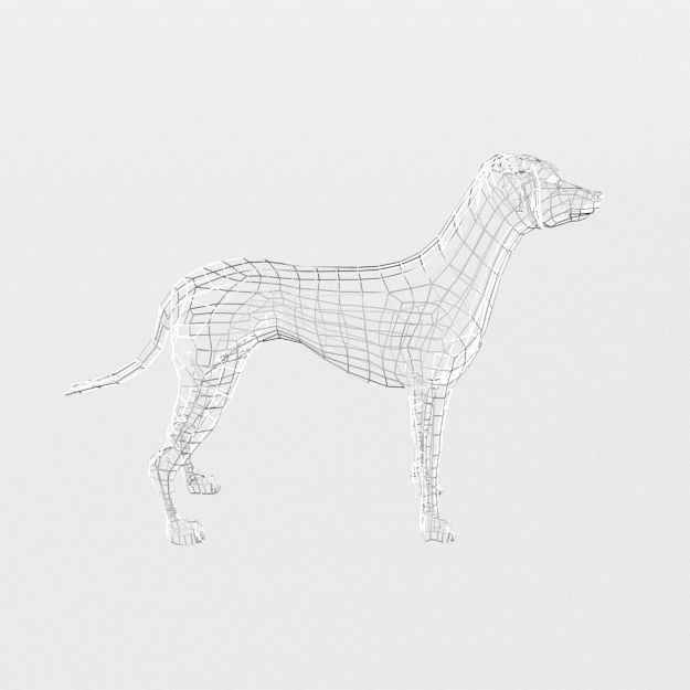 Dalmatian dog Low-poly 3D model_7