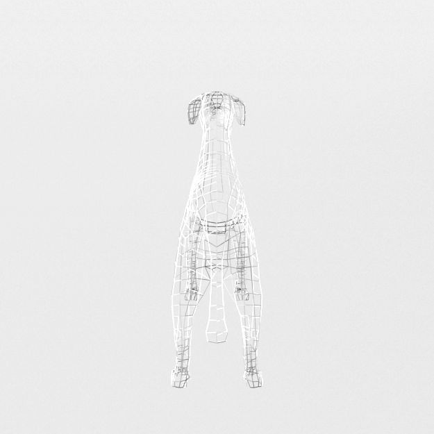 Dalmatian dog Low-poly 3D model_5