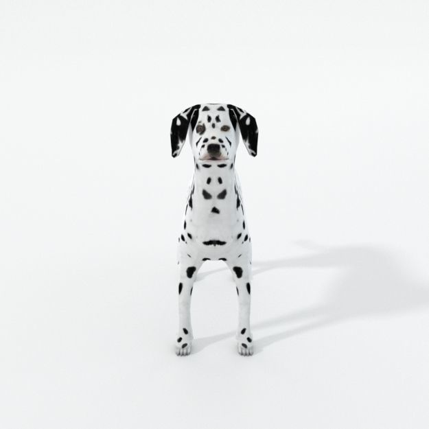 Dalmatian dog Low-poly 3D model_2