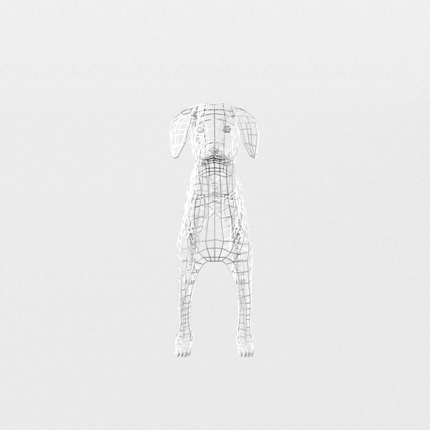 Dalmatian dog Low-poly 3D model_6