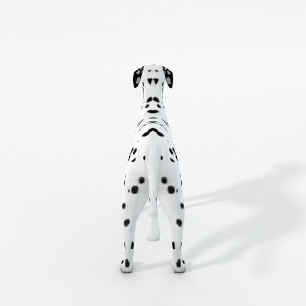Dalmatian dog Low-poly 3D model_1