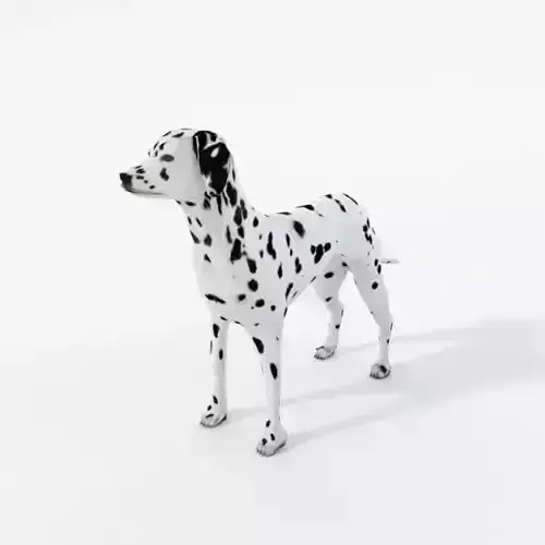 Dalmatian dog Low-poly 3D model