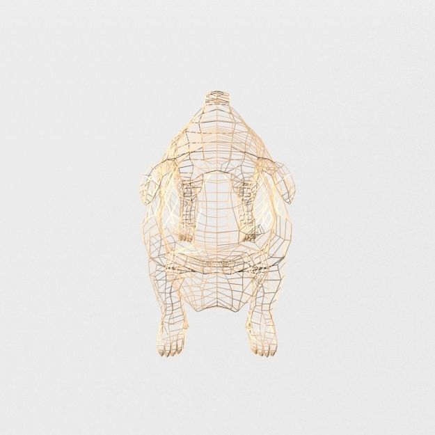 Bulldog Low-poly 3D model_7