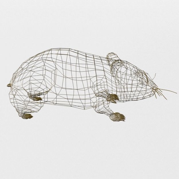 Syrian Hamster Low-poly 3D model_7