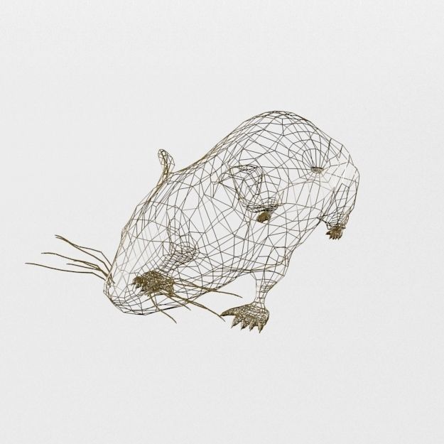 Syrian Hamster Low-poly 3D model_4