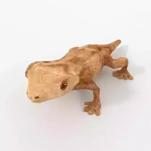 Crested Gecko Low-poly 3D model