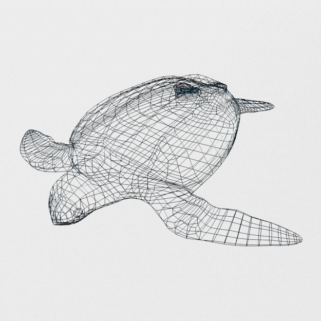 Leatherback Turtle Low-poly 3D model_4