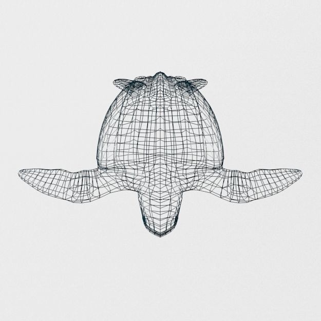 Leatherback Turtle Low-poly 3D model_6