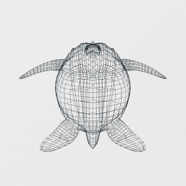 Leatherback Turtle Low-poly 3D model_5