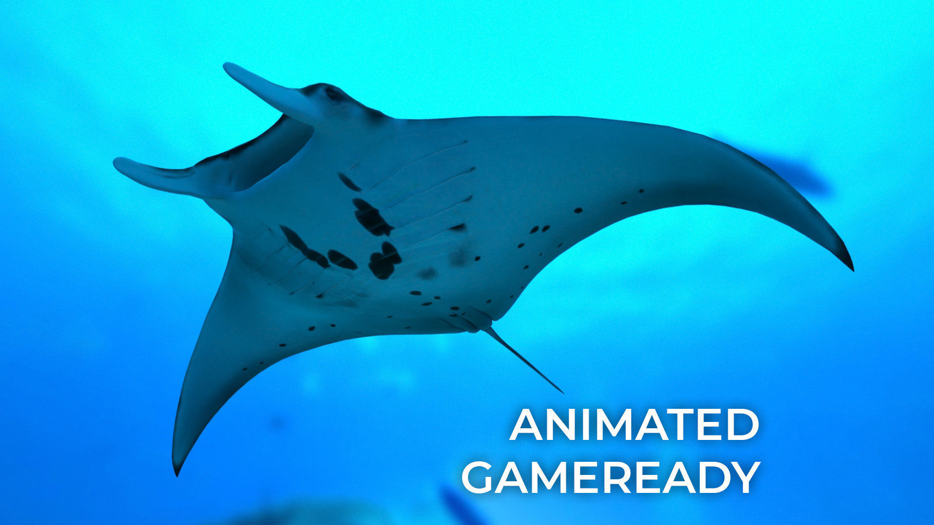 Manta Ray with Octane Support Low-poly 3D model