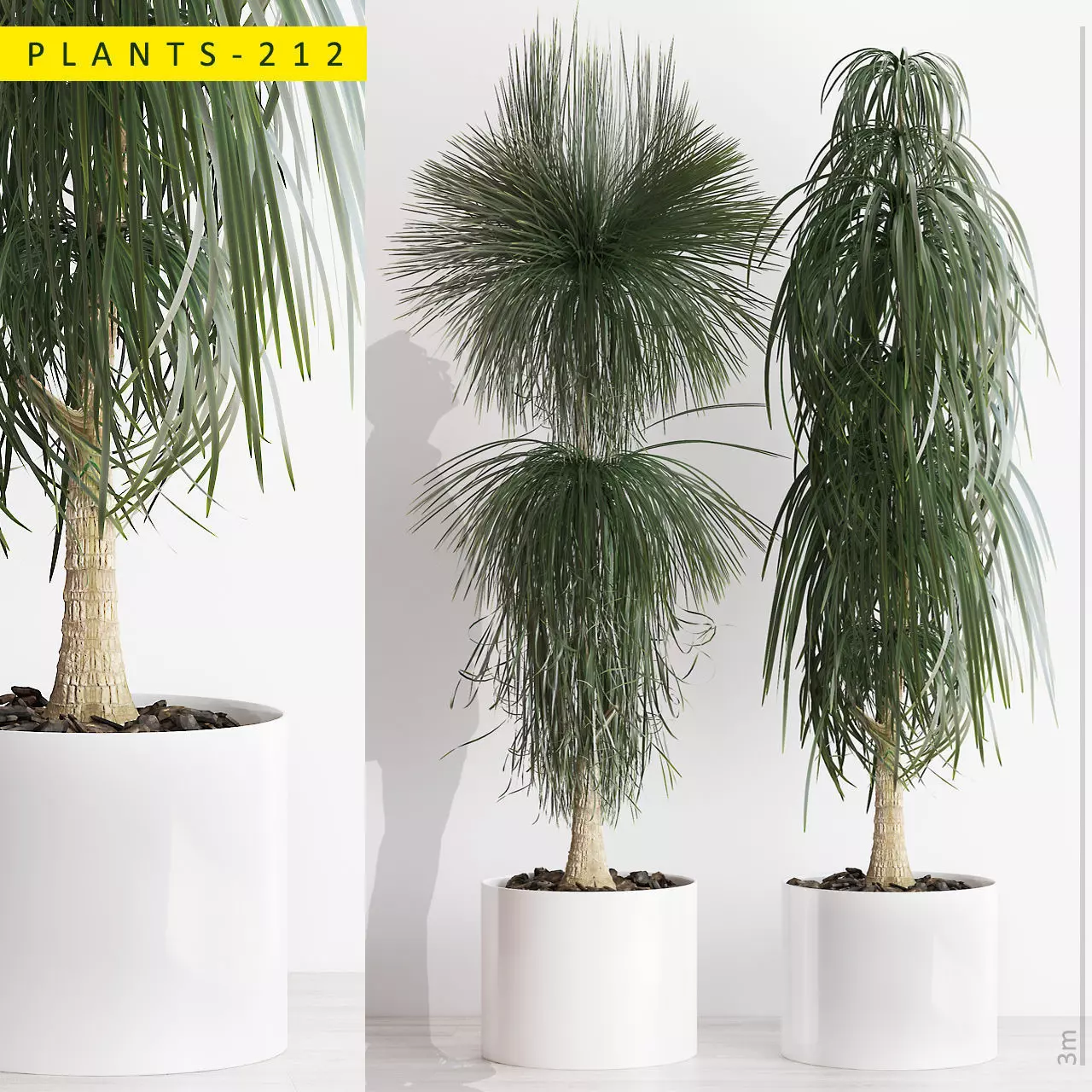 PLANTS 212 3D model