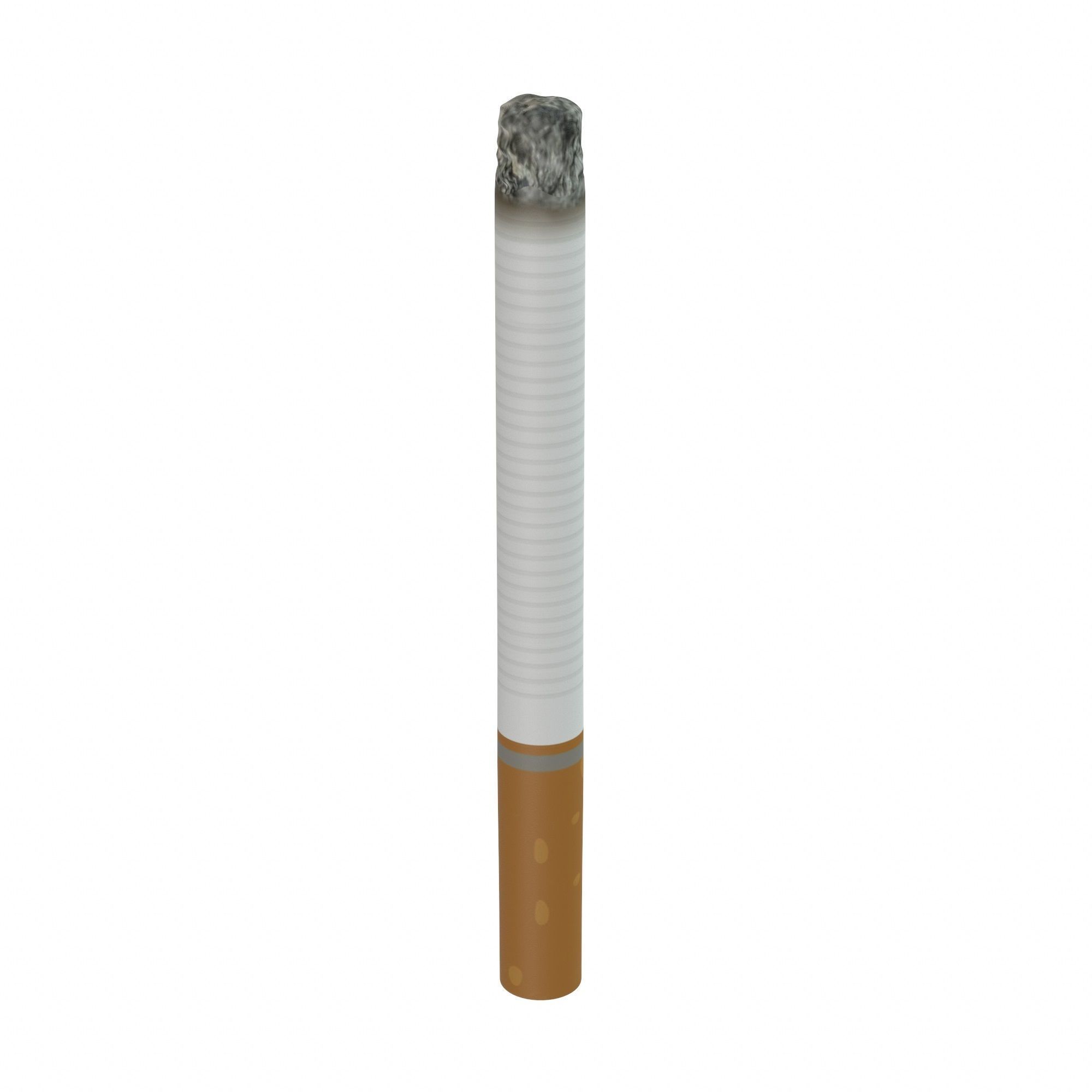 Cigarette Used 3D model_1