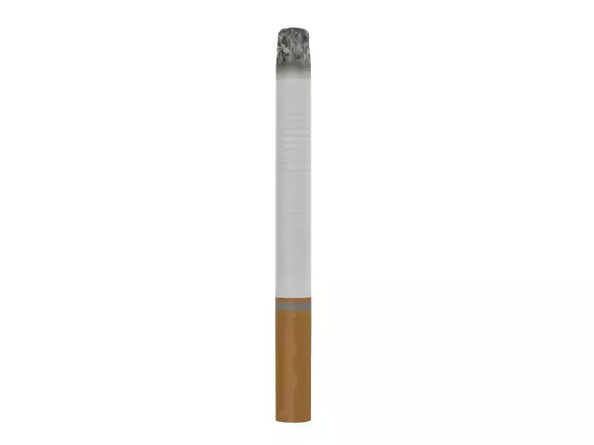 Cigarette Used 3D model