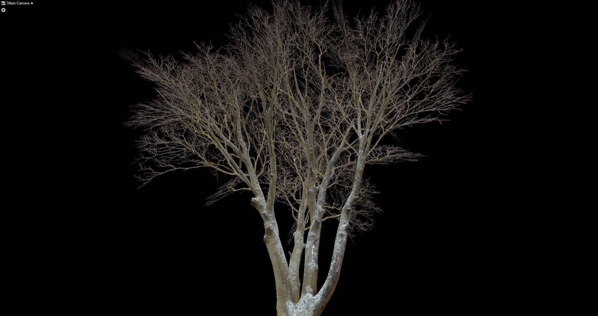 Autumn Dry Tree Scan Full-Size Low-poly 3D model_11