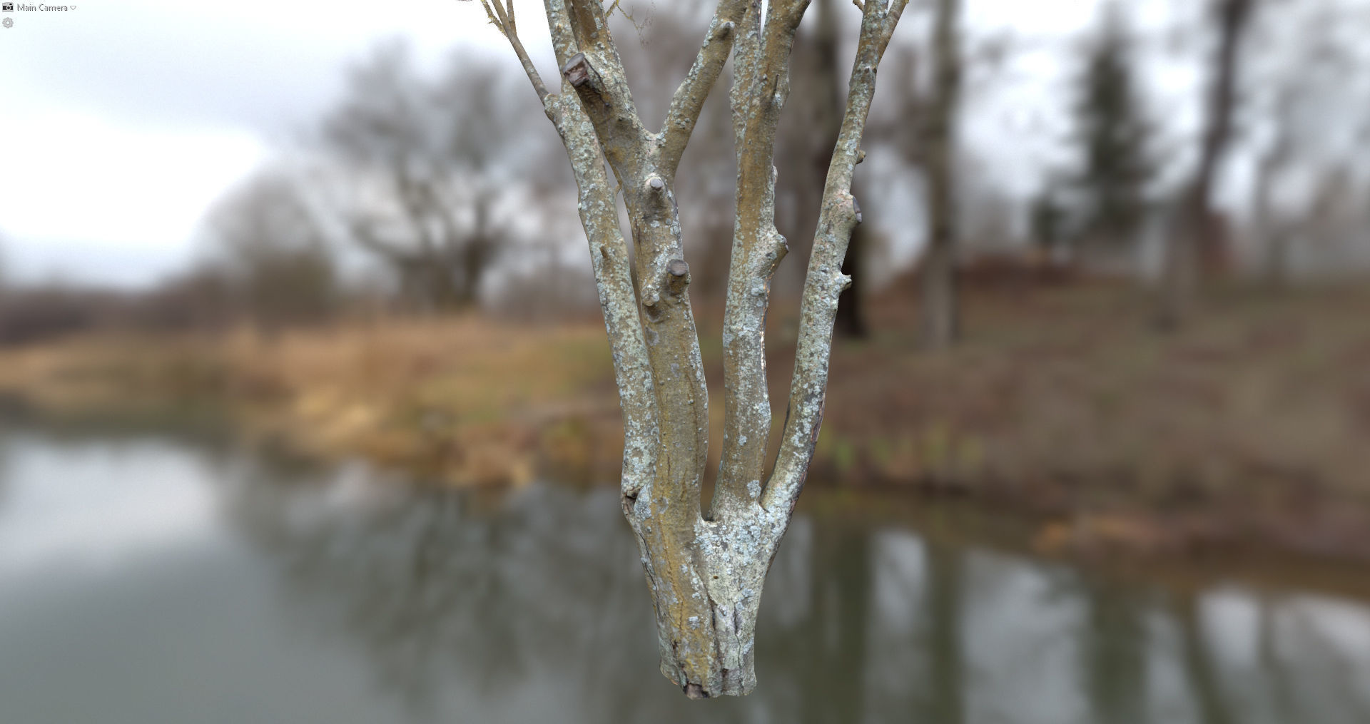 Autumn Dry Tree Scan Full-Size Low-poly 3D model_1