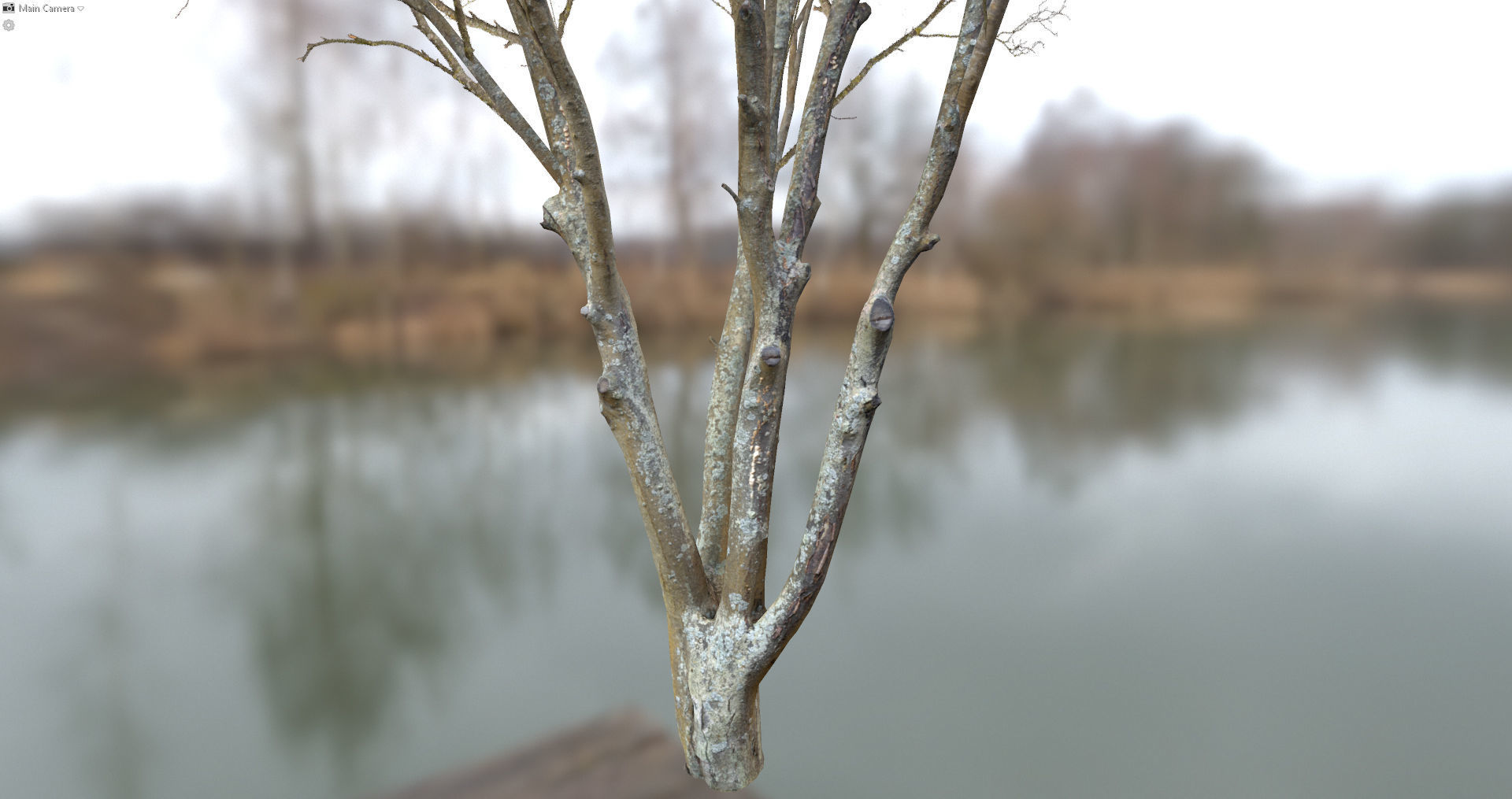 Autumn Dry Tree Scan Full-Size Low-poly 3D model_2