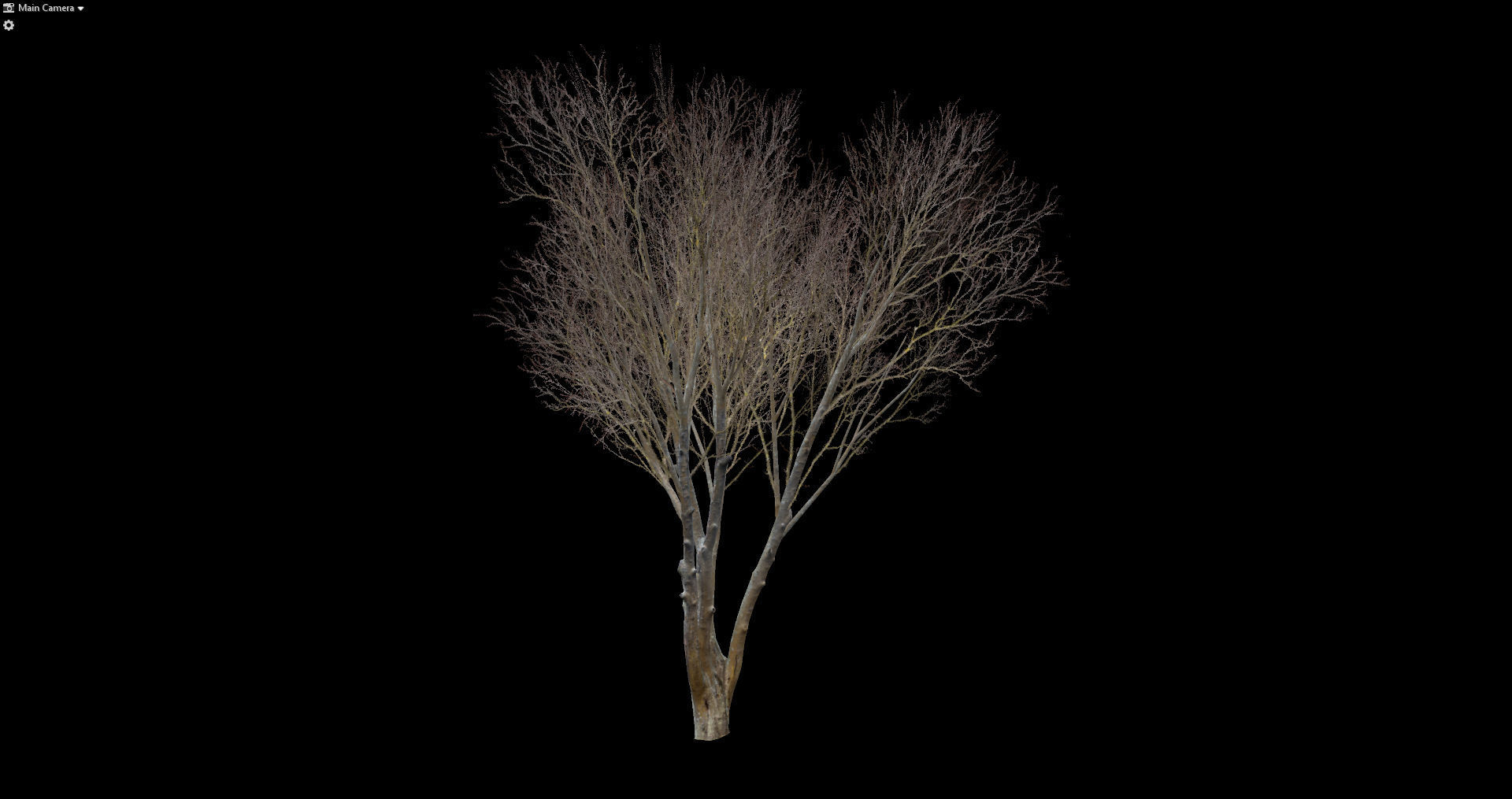Autumn Dry Tree Scan Full-Size Low-poly 3D model_9