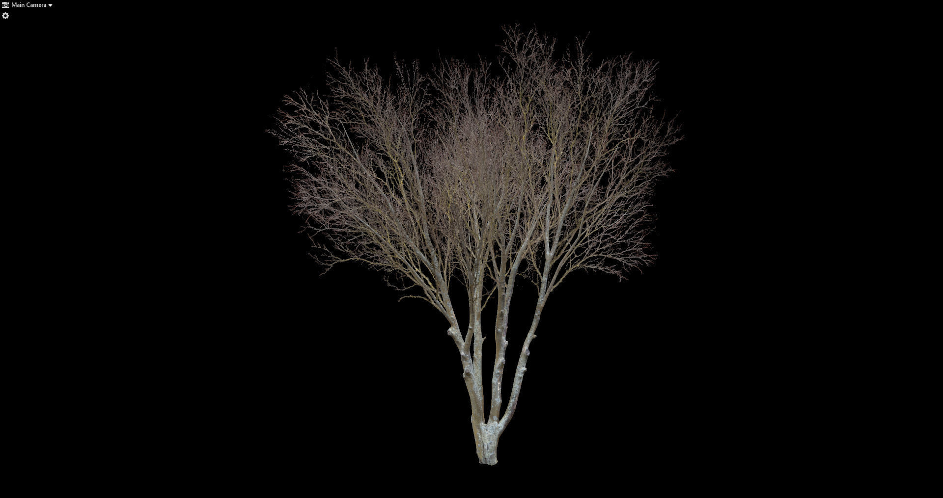 Autumn Dry Tree Scan Full-Size Low-poly 3D model_10