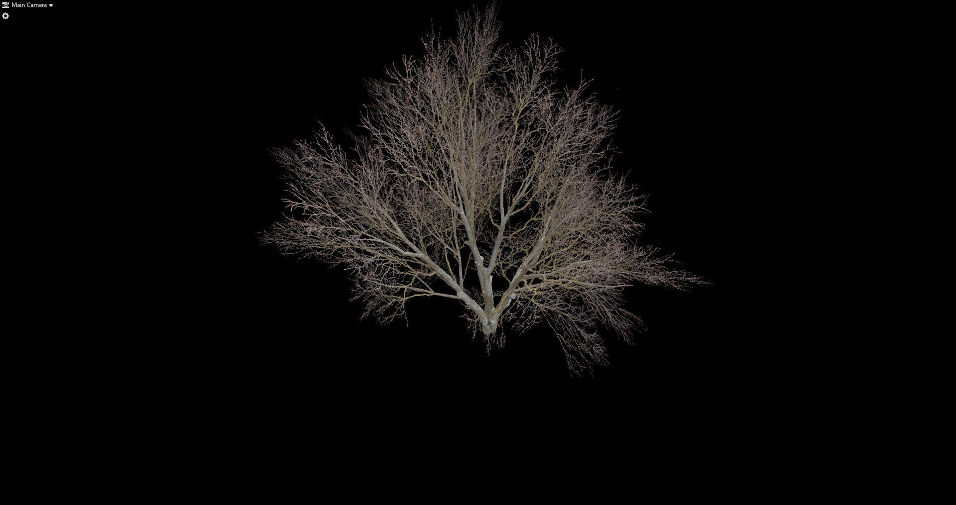 Autumn Dry Tree Scan Full-Size Low-poly 3D model_12