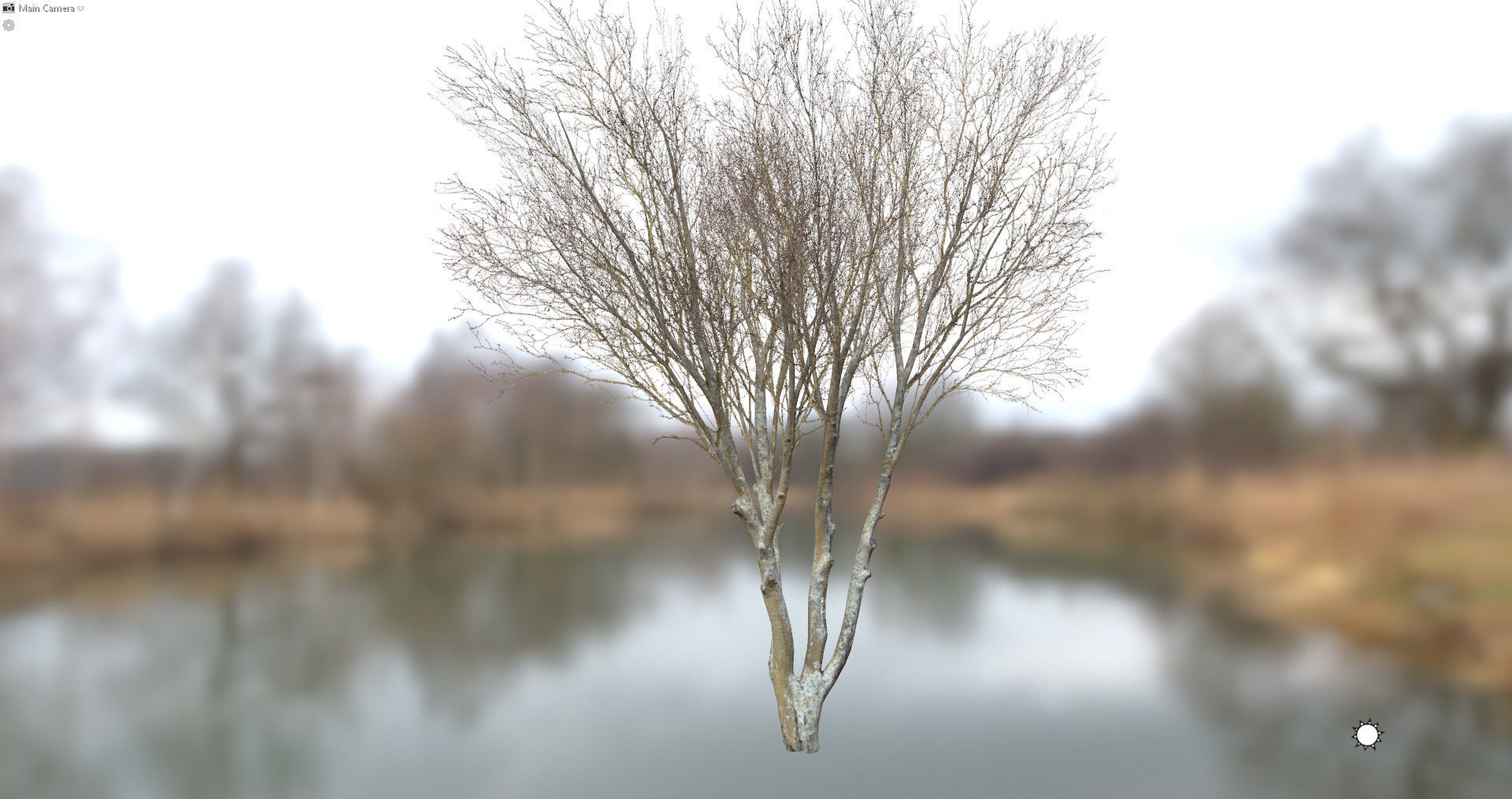 Autumn Dry Tree Scan Full-Size Low-poly 3D model_4