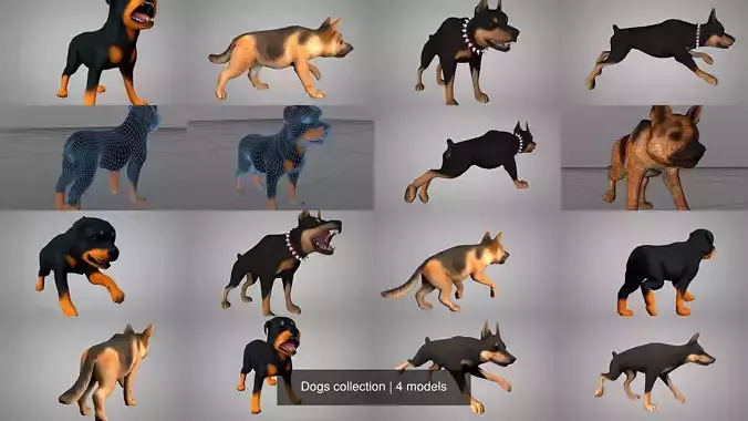 Dogs collection rottweiler 