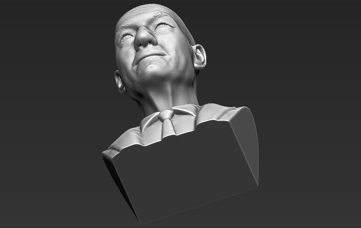 Professor X Charles Xavier bust 3D printing ready stl obj  3D print model_20