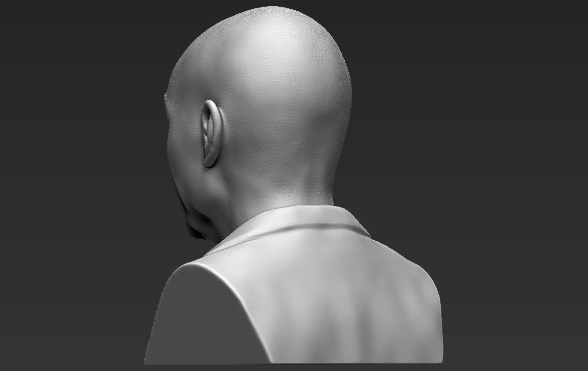 Professor X Charles Xavier bust 3D printing ready stl obj  3D print model_6