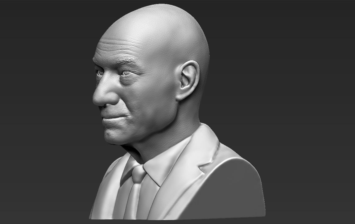 Professor X Charles Xavier bust 3D printing ready stl obj  3D print model_3