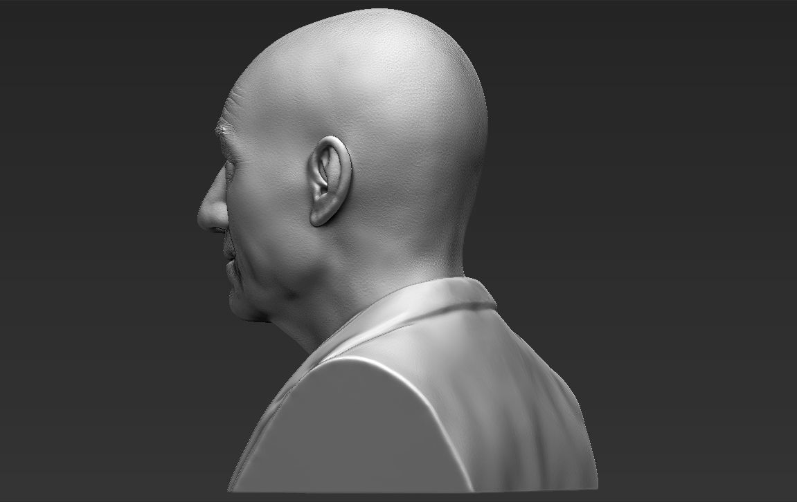 Professor X Charles Xavier bust 3D printing ready stl obj  3D print model_5