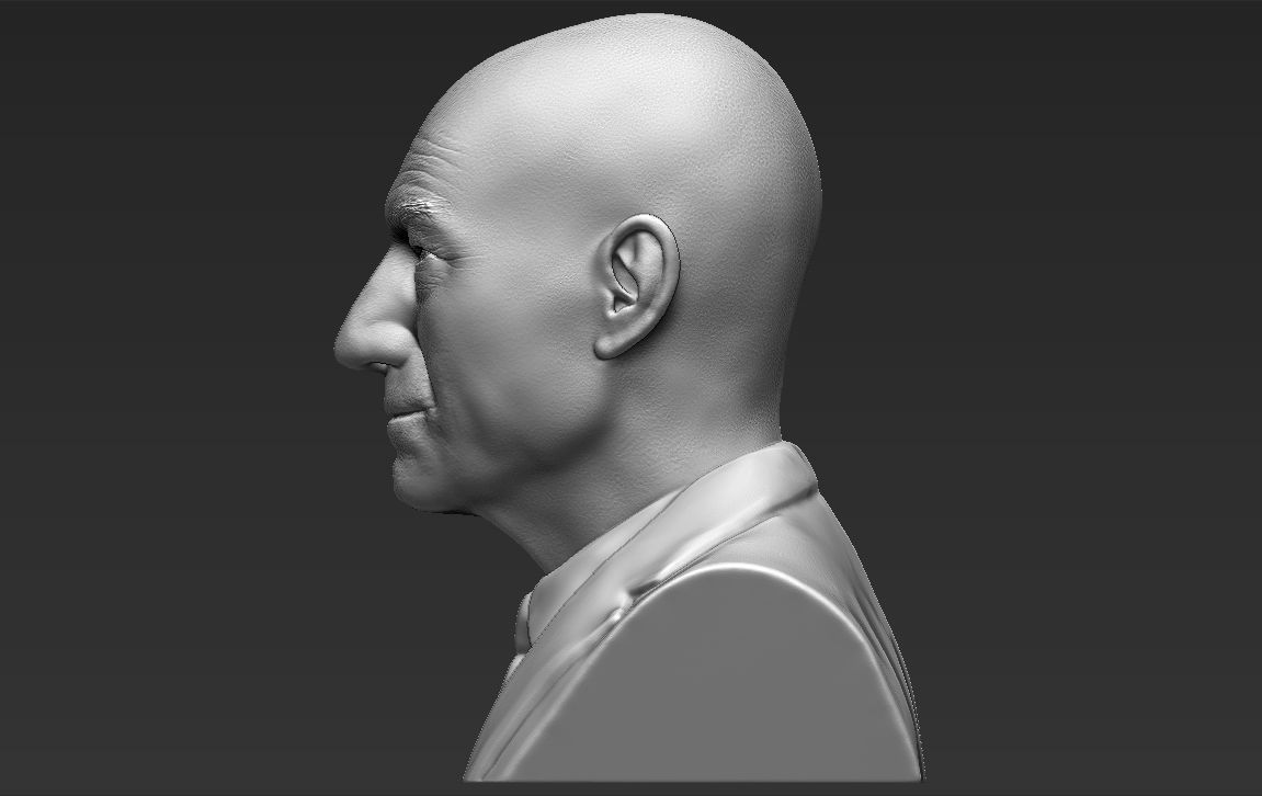 Professor X Charles Xavier bust 3D printing ready stl obj  3D print model_4