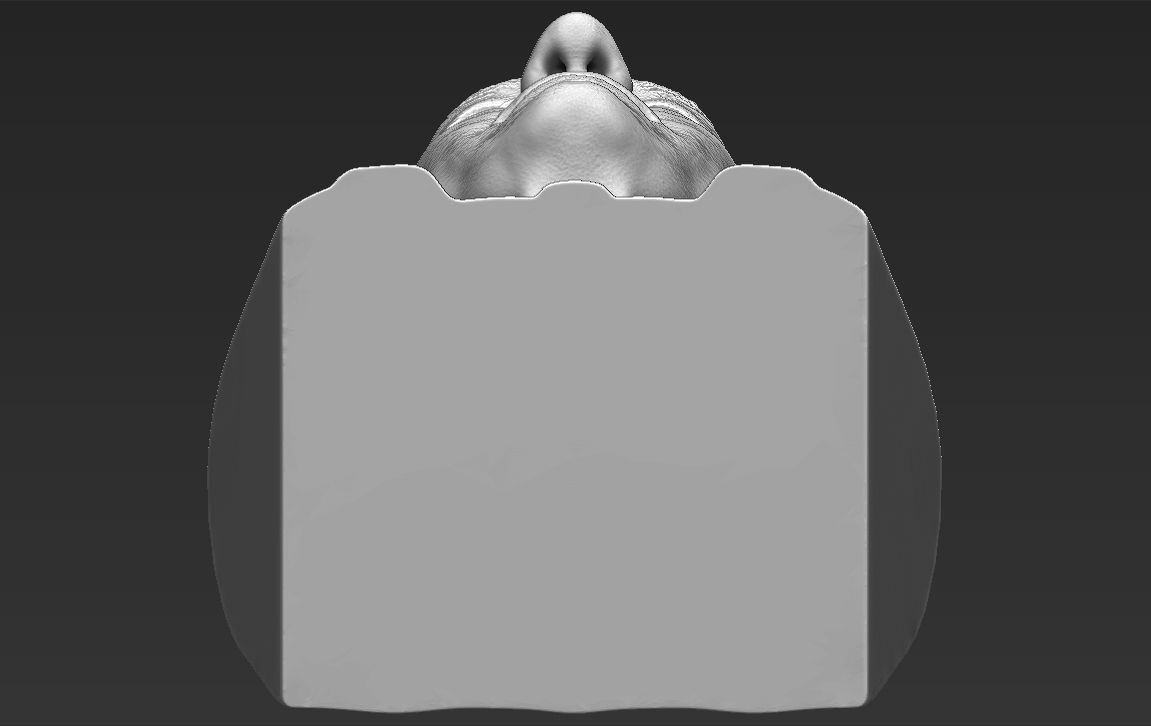 Professor X Charles Xavier bust 3D printing ready stl obj  3D print model_21