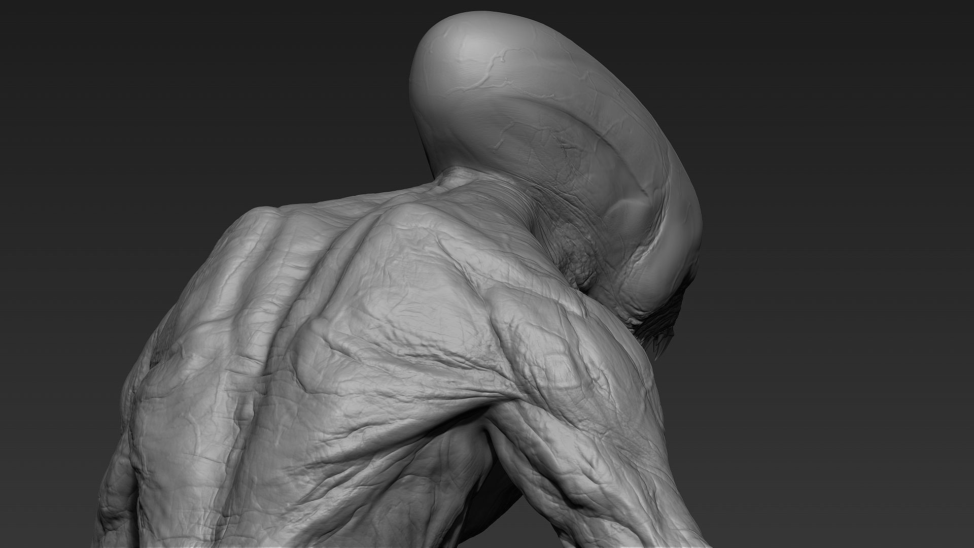 Sci-Fi Creature  3D model_6