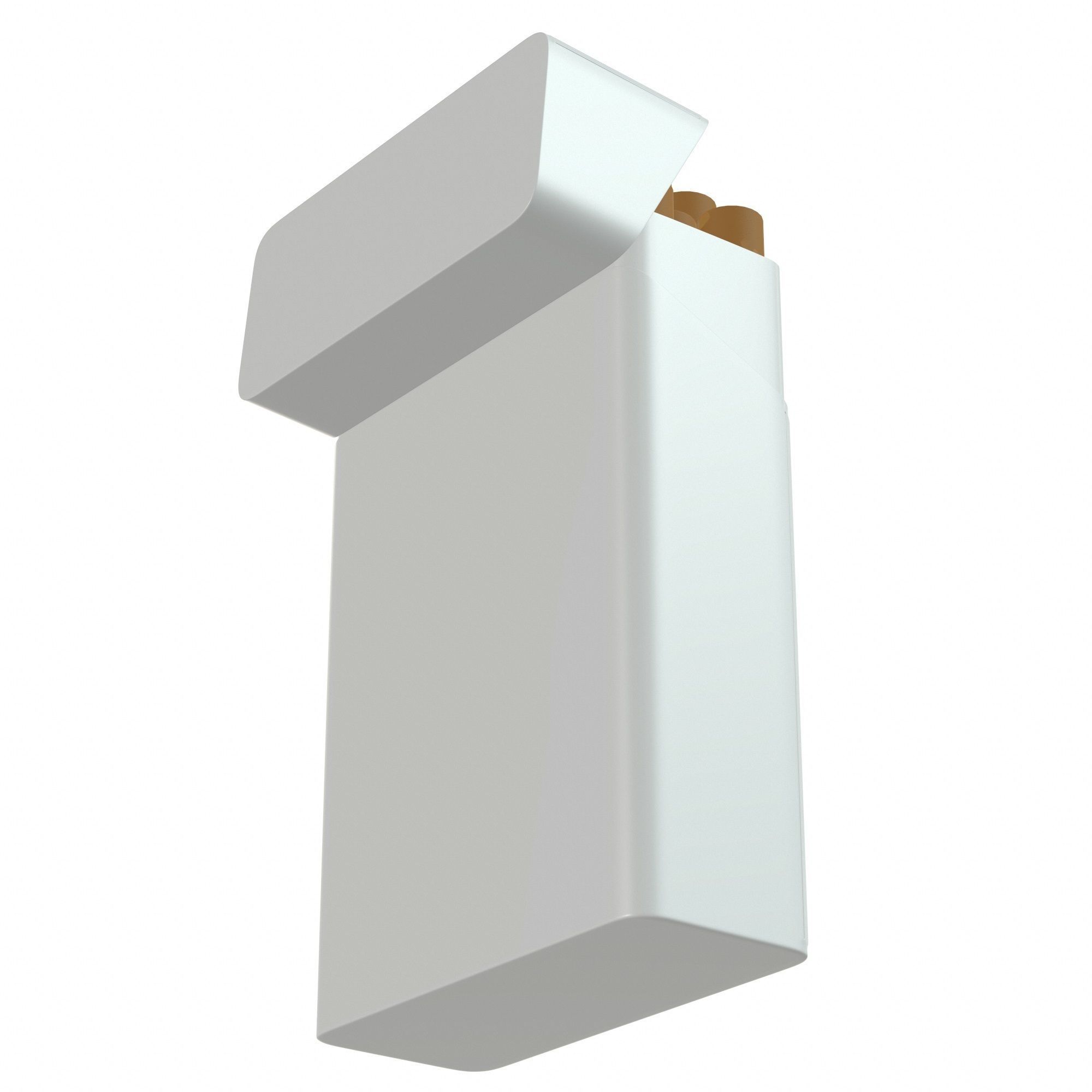 Smoking stuff 3D Model Collection_64