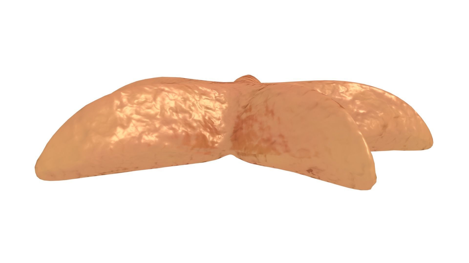 Starfish Rigged 3D model_4