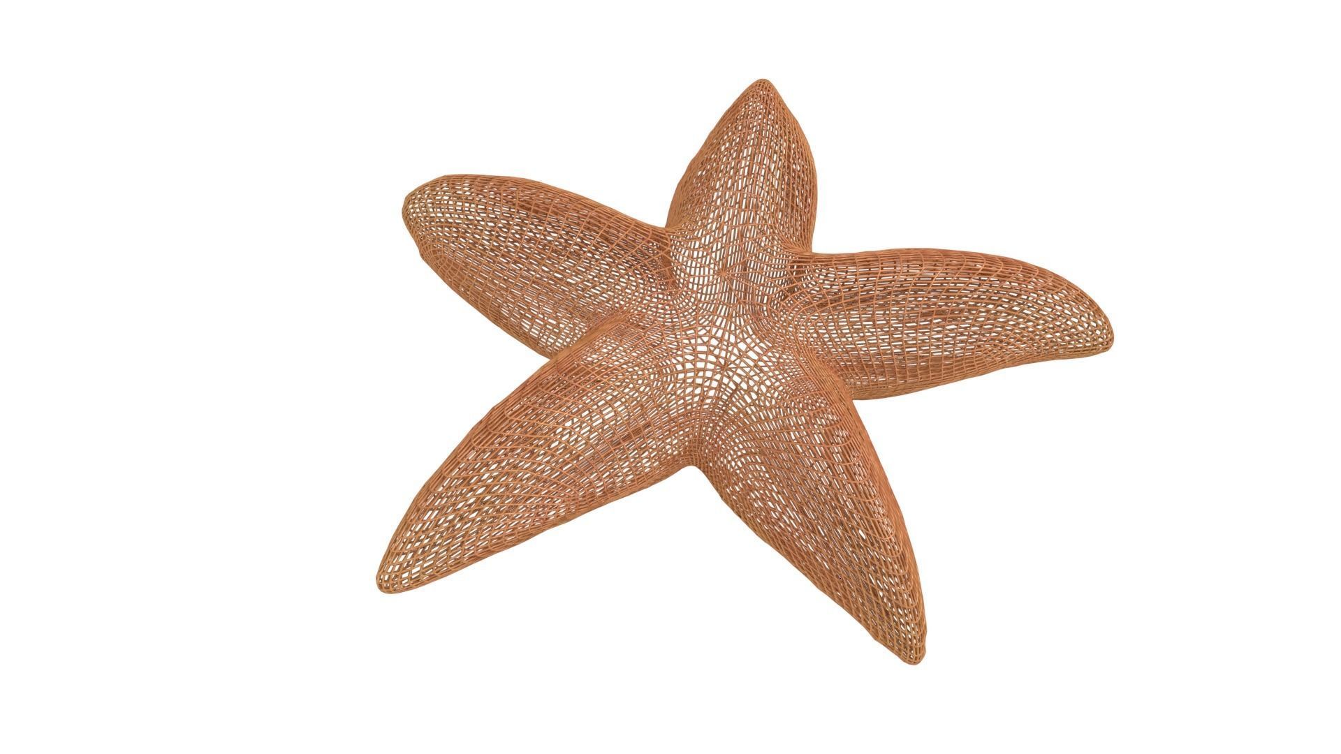 Starfish Rigged 3D model_5