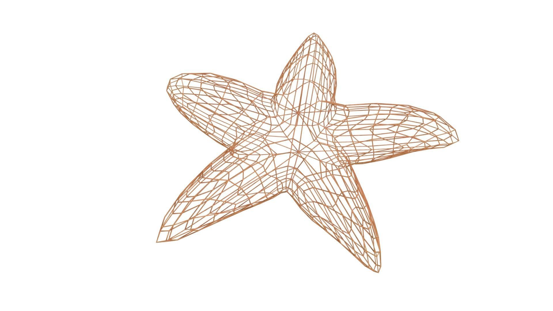 Starfish Rigged 3D model_6