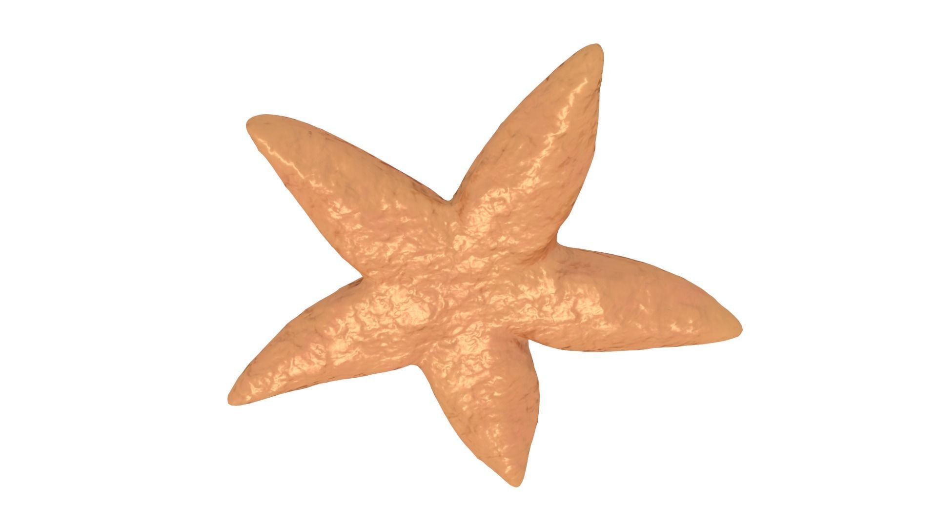 Starfish Rigged 3D model_3