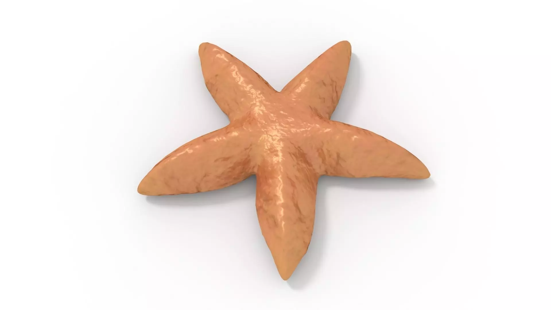 Starfish Rigged 3D model_0