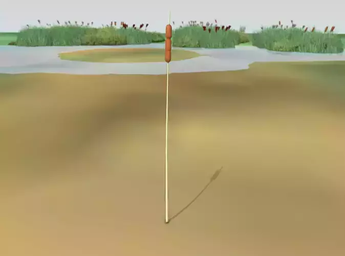 Reeds - Object 1 Low-poly 3D model