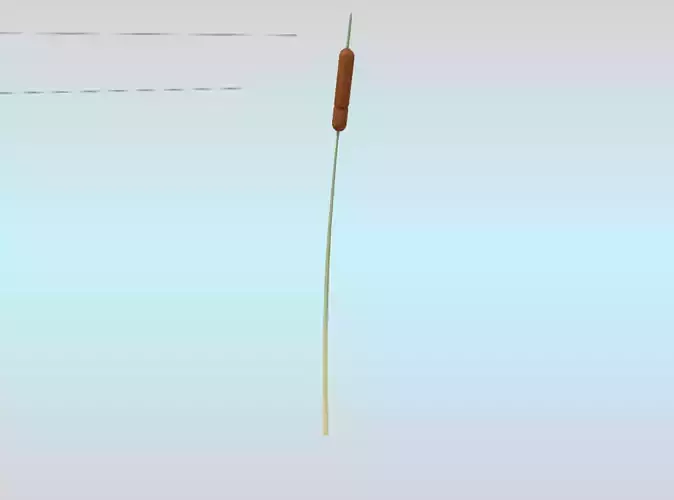 Reeds - Object 2 Low-poly 3D model