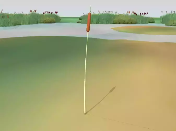 Reeds - Object 3 Low-poly 3D model