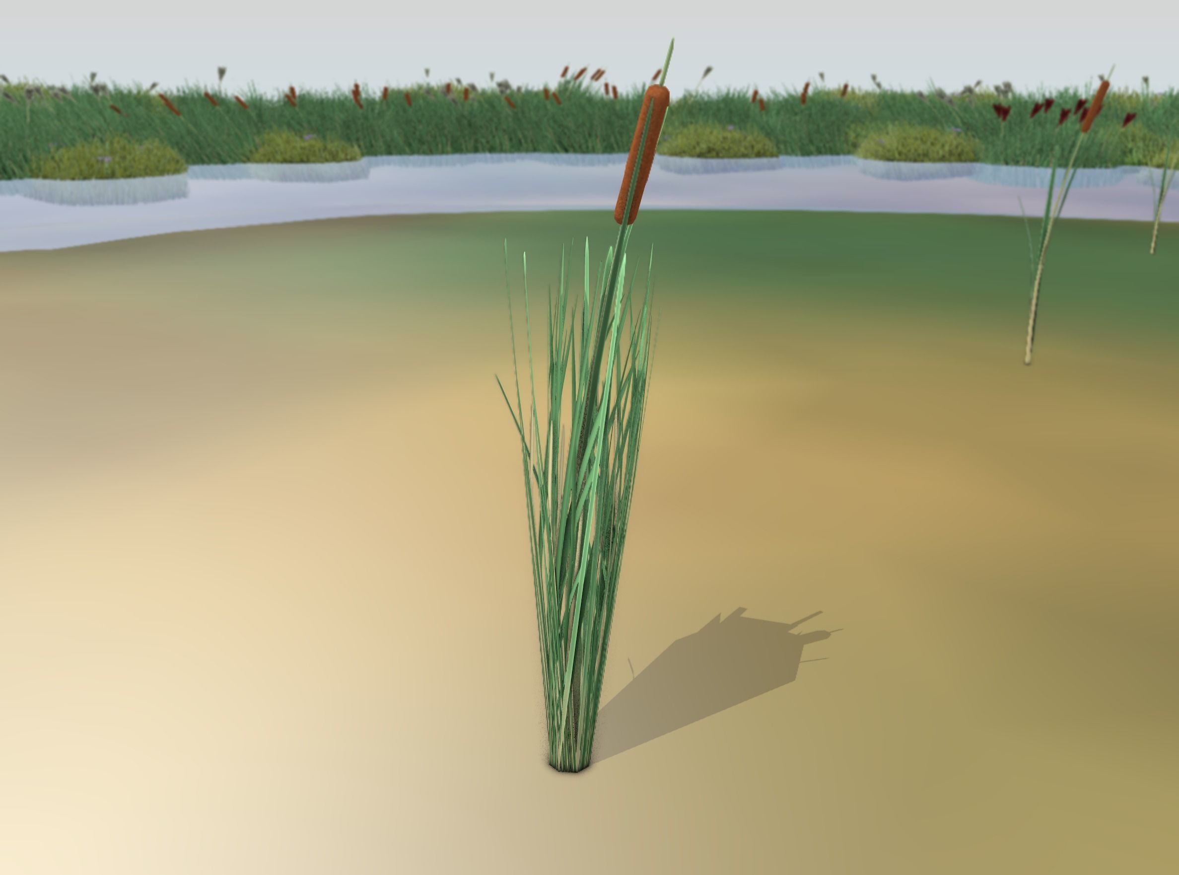 Reeds - Object 7 Low-poly 3D model_12
