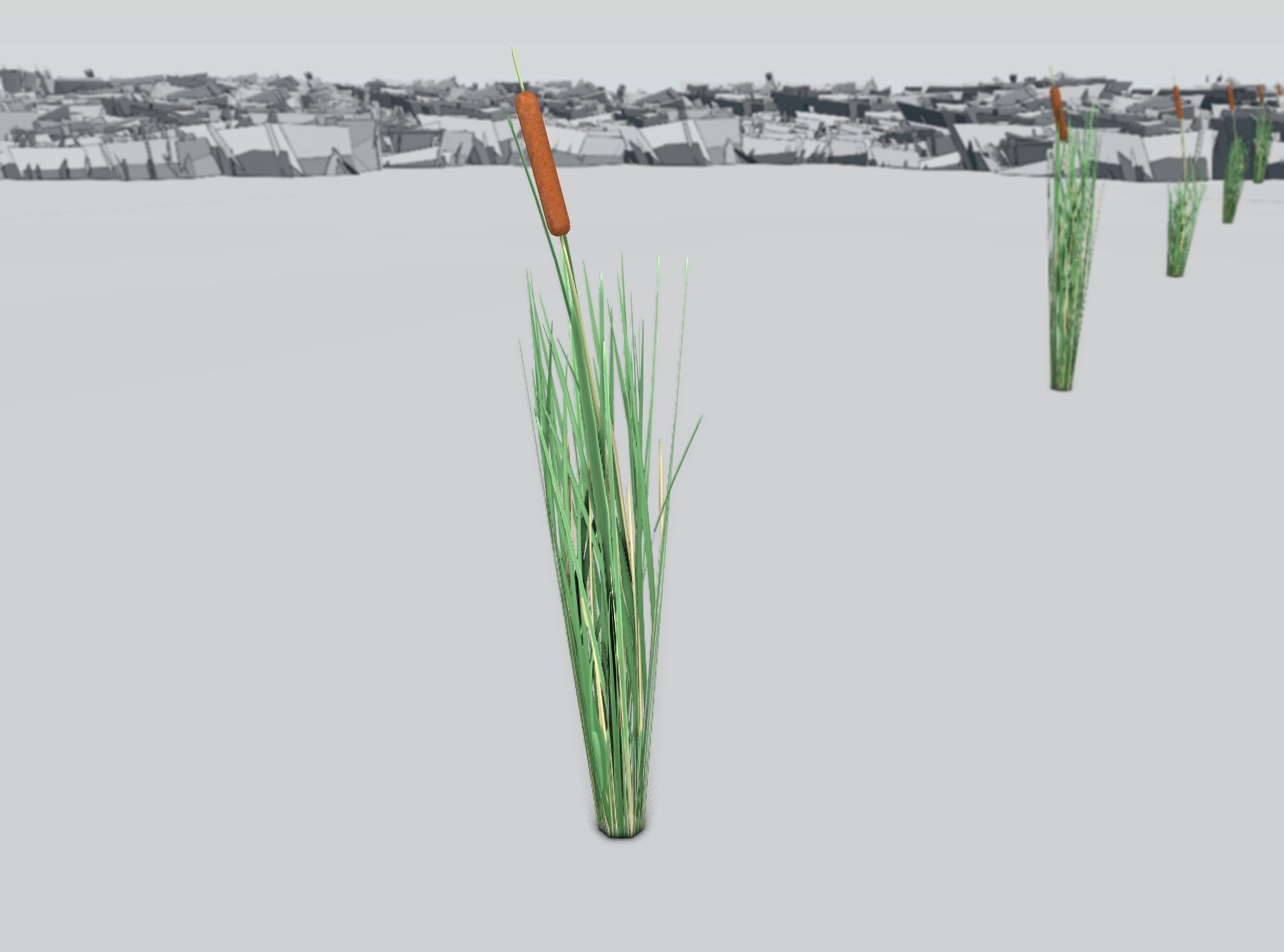 Reeds - Object 7 Low-poly 3D model_35