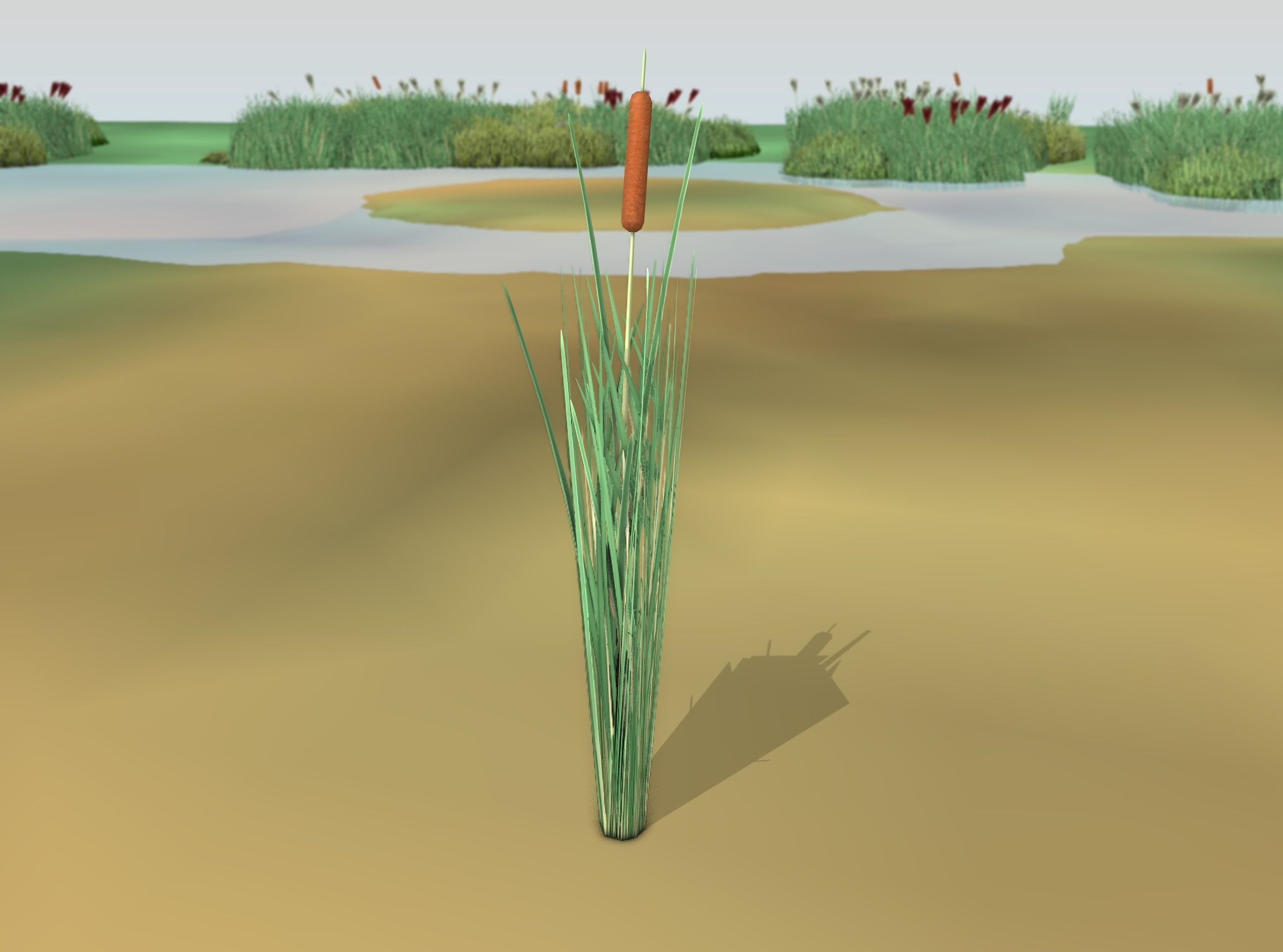 Reeds - Object 7 Low-poly 3D model_45