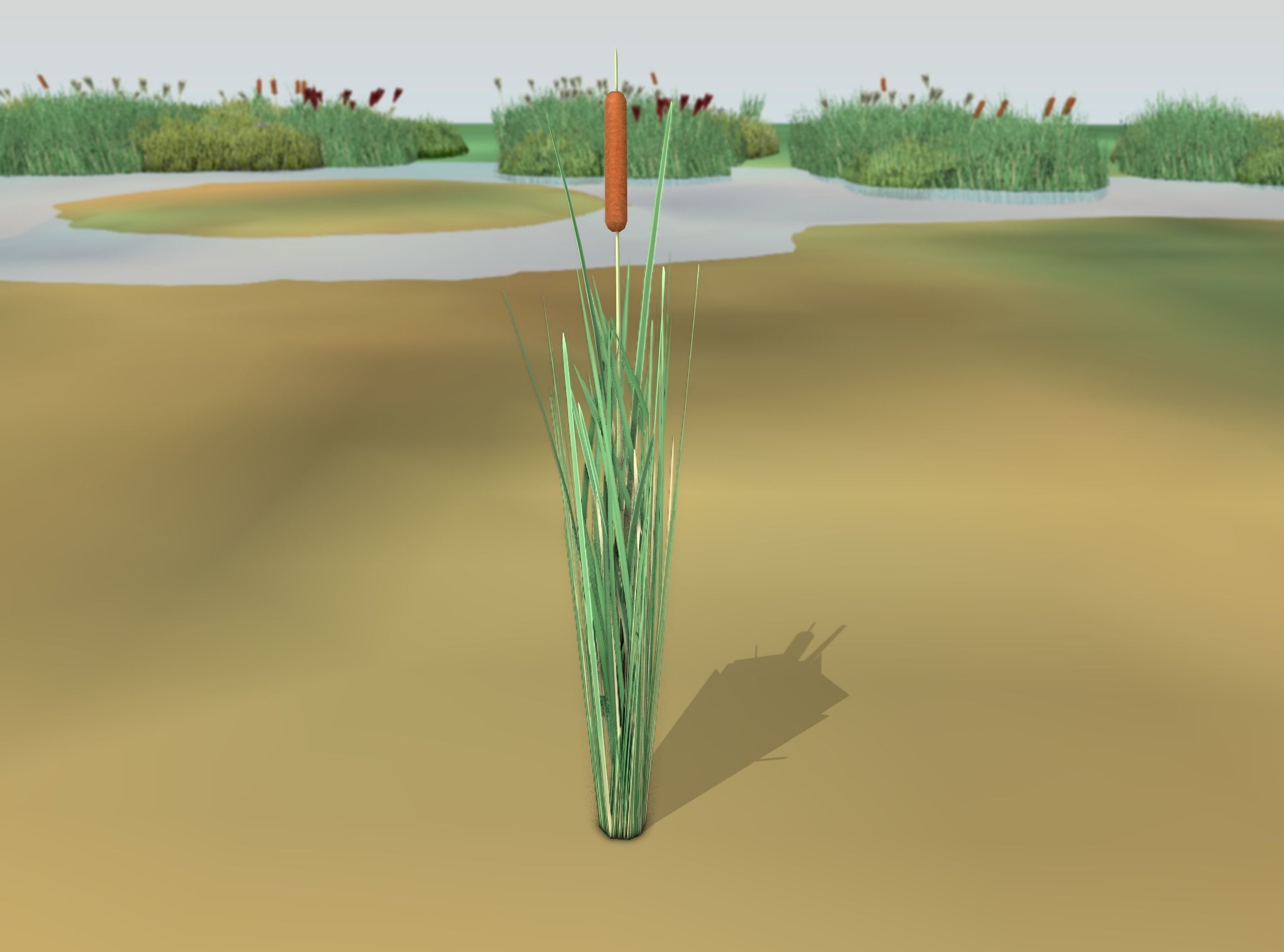 Reeds - Object 7 Low-poly 3D model_43