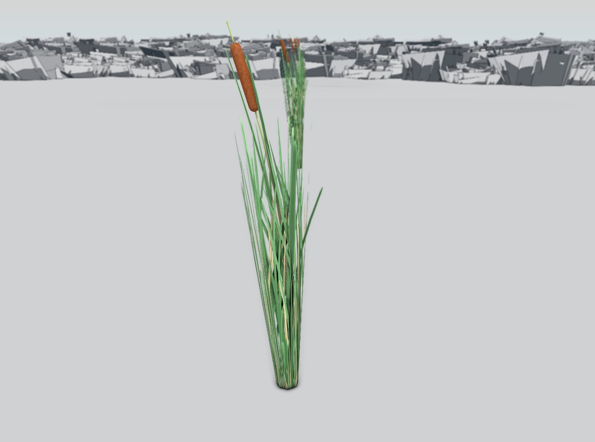 Reeds - Object 7 Low-poly 3D model_31