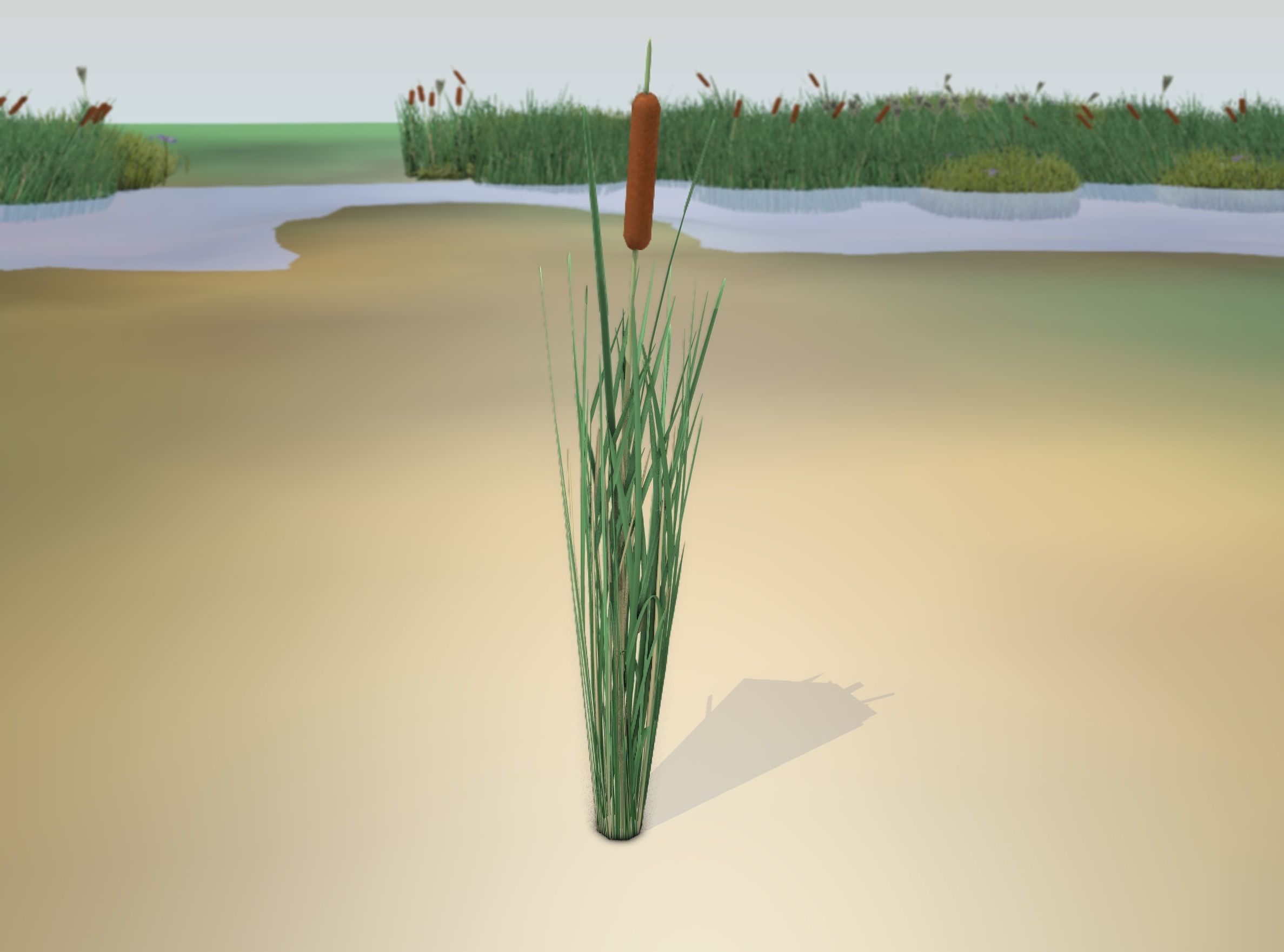 Reeds - Object 7 Low-poly 3D model_18