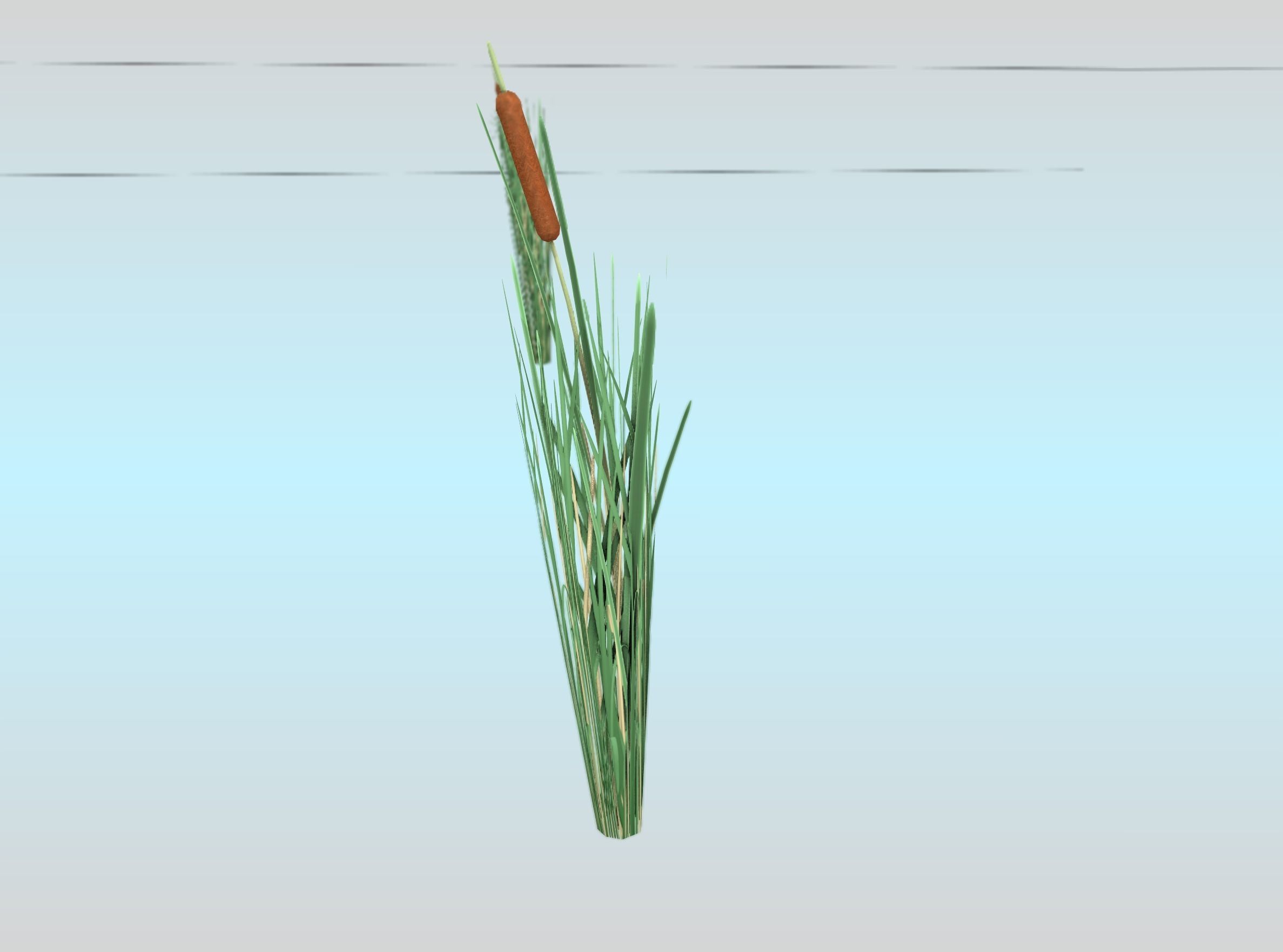 Reeds - Object 7 Low-poly 3D model_30