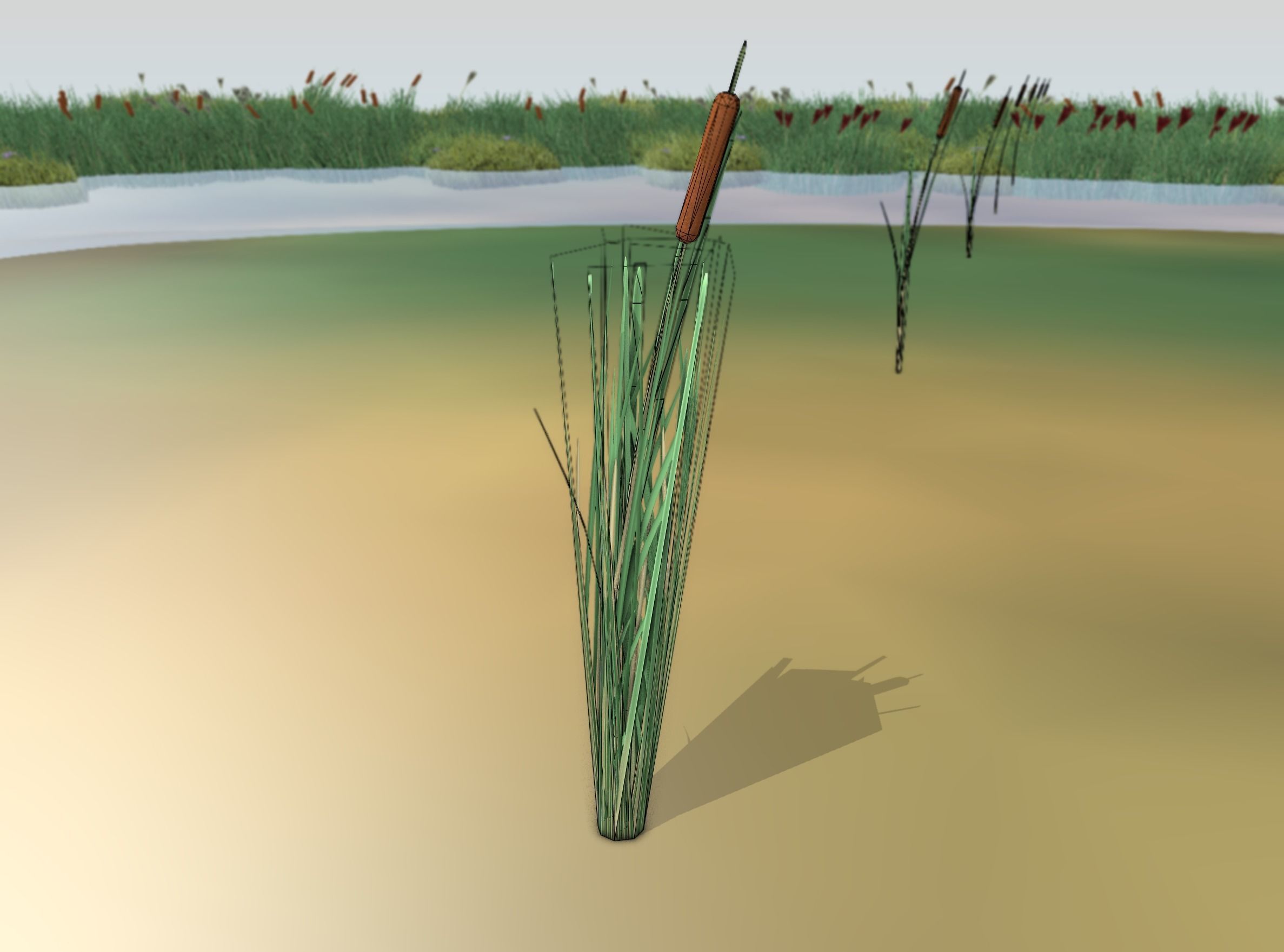 Reeds - Object 7 Low-poly 3D model_10