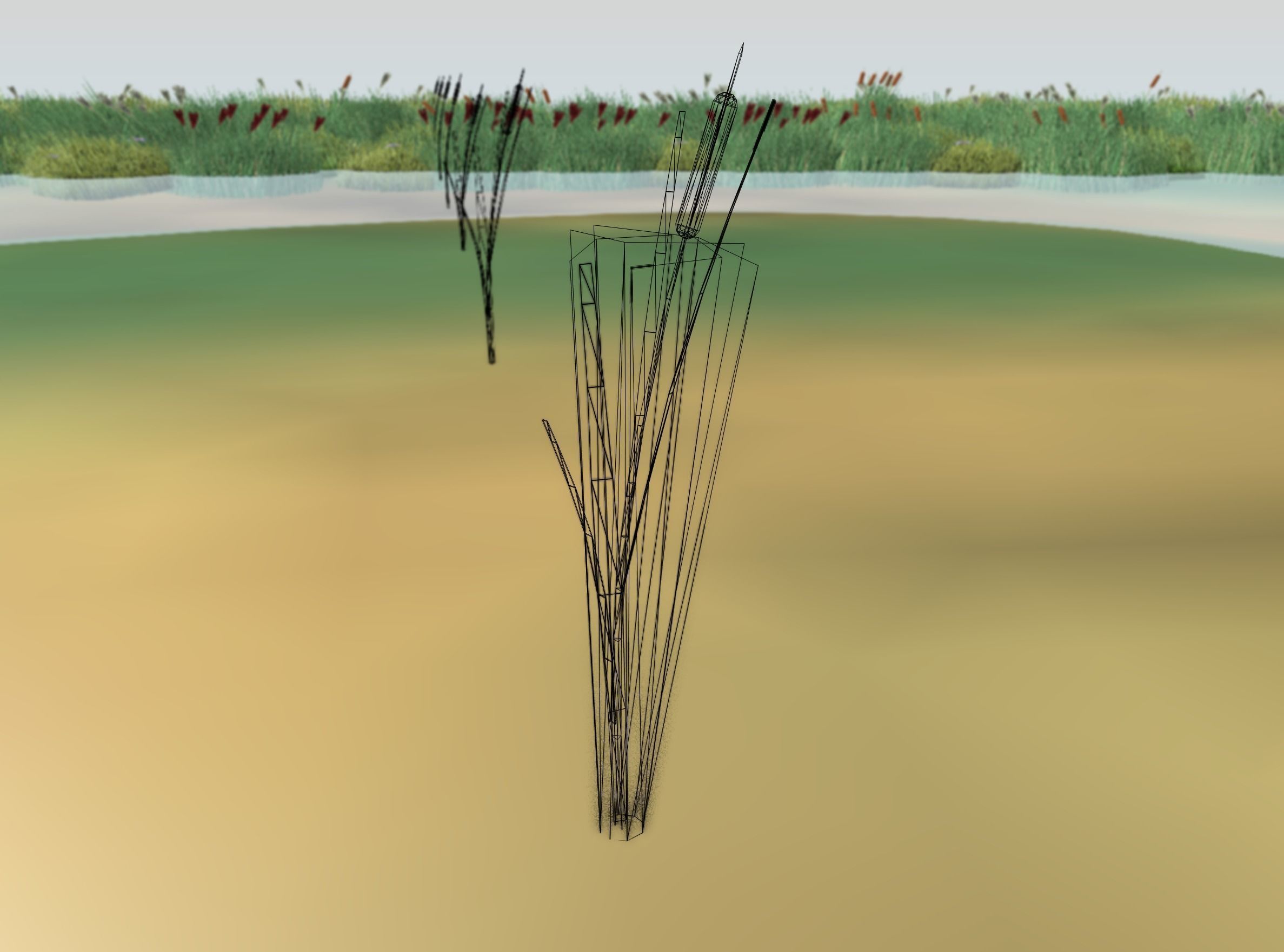 Reeds - Object 7 Low-poly 3D model_6